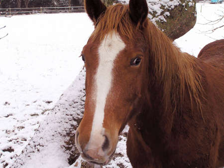 Anyone seen my grass I bet you did thisの写真素材