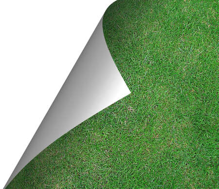 Turning over a new leaf saying or metaphor     の写真素材