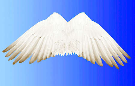 Angel wings that everyone wants to get somedayの写真素材
