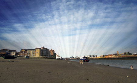 Morning as broken on the beach with dogs