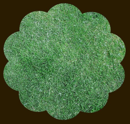 Flower shaped green grasss making new backgroundの写真素材