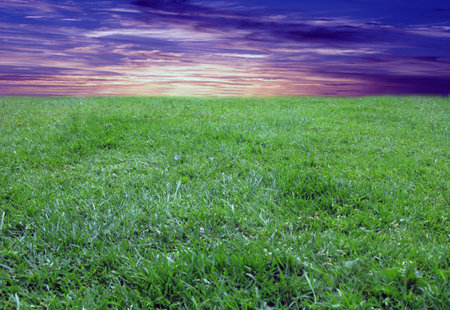 Morning sunrise over empty green meadow land 
