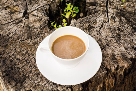 Cup of espressoの写真素材