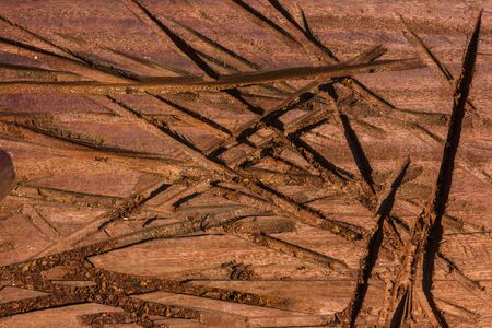 texture of wood use as backgroundの写真素材