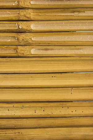 bamboo poles as wall or  tableの写真素材