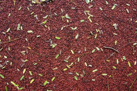 Running track for background at stadiumの写真素材