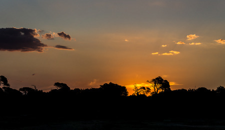 Silhouettes of trees in at sunset at the forest skyline with some clouds red orange coloursの写真素材