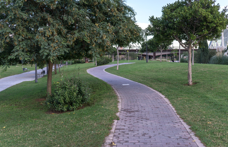 Bike lane between trees in Jardin del Turia in Valencia Spain. Tile cycleway on the grass, bikeway for cyclists onlyの写真素材