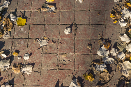 Natural stamped concrete pavement texture outdoor flooring with leaves, decorative appearance of tiling, mimics colors and textures of material pavers, red tiles pattern, top viewの写真素材