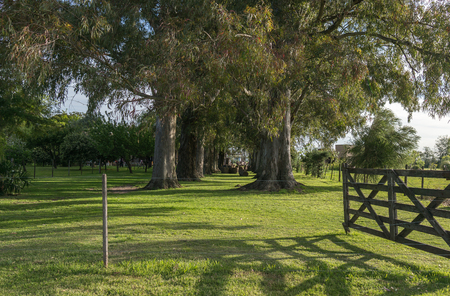 Open gate in a field in Argentina, tranquera Argentineの写真素材