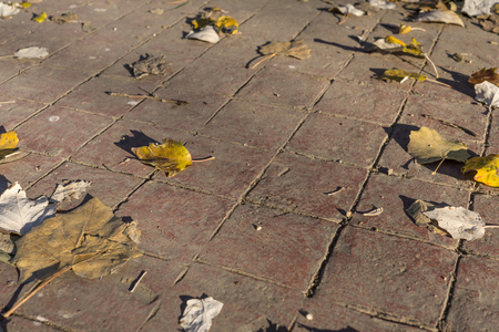 Detail of natural stamped concrete pavement outdoor flooring with leaves, decorative appearance of tiling, mimics colors and textures of material pavers, red tiles patternの写真素材