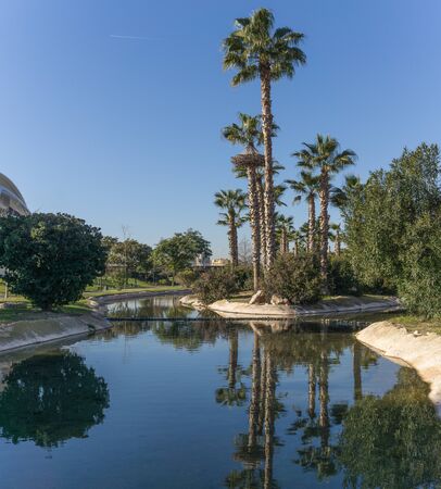 Gardens in the old dry riverbed of the Turia river - reflection of Palm trees in the artificial water channel. Europe, Valencia, Spain, Gigapanの写真素材