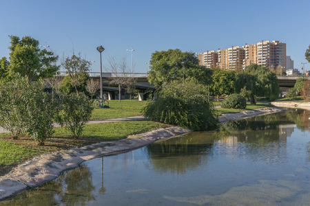 Beautiful landscape of Turia River gardens Jardin del Turia, leisure and sport area in Valencia, Spain. With trees, grass and water mirrorsの写真素材