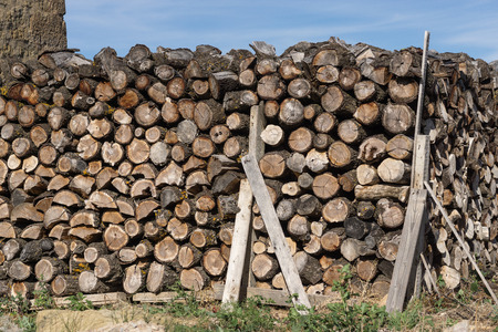 Pile of wood logs ready for winter, dry chopped firewood on a green fieldの写真素材