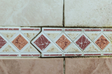 Black mold fungus growing in damp poorly ventilated bath areas, in detail. Mold tile joints with fungus due to condensation moisture problemの写真素材