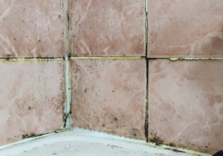 Mold tile joints with fungus due to condensation moisture problem. Black mold fungus growing in damp poorly ventilated bath areasの写真素材