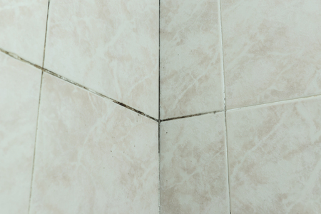 Mold tile joints corner with black fungus due to condensation moisture problemの写真素材