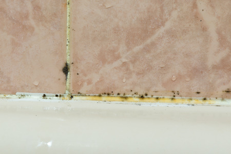 Mold tile joints with black fungus due to condensation moisture problemの写真素材
