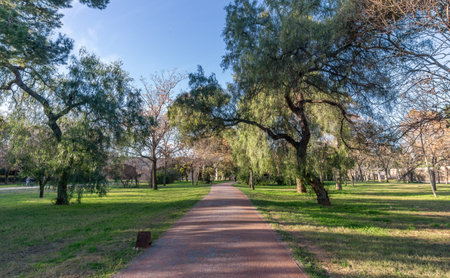 Beautiful landscape of Old dry riverbed of the River Turia gardens, Jardin del Turia, leisure and...