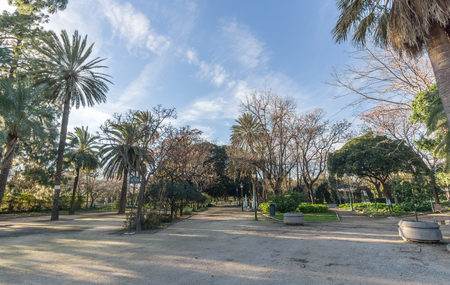Jardines del Real, Walk in-between trees - Viveros Valencia, near old dry riverbed of the River Turiaの写真素材