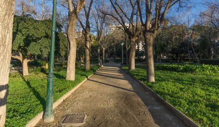 Jardines del Real, Walk in-between trees - Viveros Valencia, near old dry riverbed of the River Turiaの写真素材