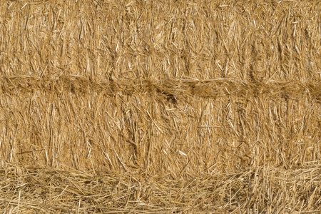 Texture of straw bale, truss. Paca abtract background