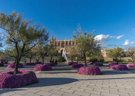 Panoramic surroundings view Palma de Mallorca Cathedral blue sky. Balearic islands of Spainの写真素材