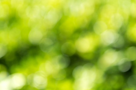 texture foliage plants green leaves tree, blurred green dots background abstract bokehの写真素材