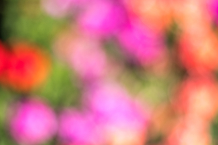 blurred multi colored red, orange, violet and green colorful dots background abstract bokeh flowers, flowery springの写真素材