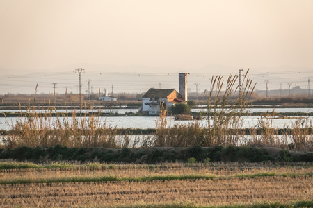 paddy farmlands Mediterranean traditional flooded rice, farmhouse at Albufera Valencia, Spain. Warm colors orange sunset water reflectionの写真素材