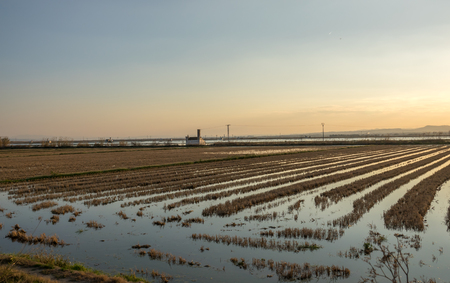 Albufera Valencia, Flooded rice paddy and traditional Mediterranean farm house, Spainの写真素材