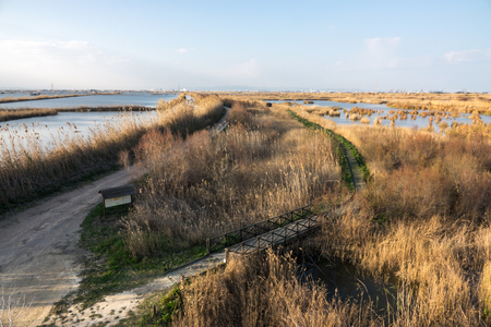Tancat de la Pipa Albufera Valencia, touristic ride. old rice field converted into a natural reserve area. ecosystem of native speciesの写真素材