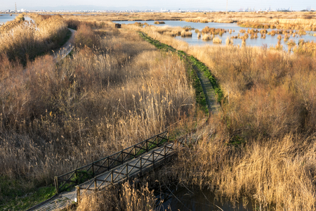Tancat de la Pipa Albufera Valencia, touristic ride. old rice field converted into a natural reserve area. ecosystem of native speciesの写真素材