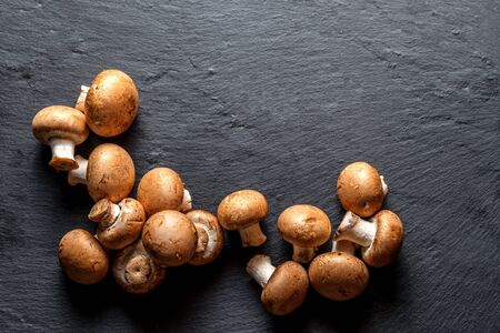 portobello mushroom champignon isolated on a black background Top view with copy spaceの写真素材