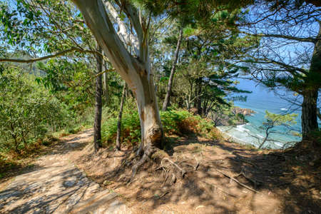 Path of the Lookouts, Senda de los Miradores Aguilar AsturiasMuros del Nalon Spainの写真素材