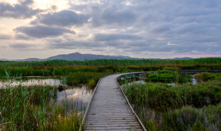 Marjal del Moro wetland nature reserve footbridges on the water in Valencia Spainの写真素材