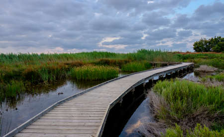 Marjal del Moro wetland nature reserve footbridges on the water in Valencia Spainの写真素材