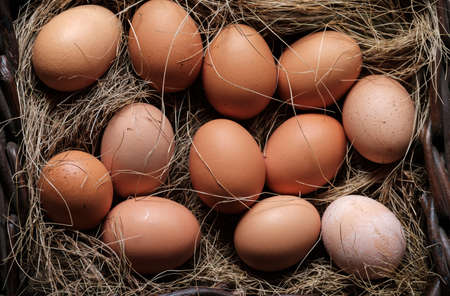 organic eggs in wicker basket fresh raw food on rustic wooden farm backgroundの写真素材