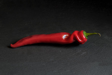 Red pepper, isolated black background food fresh vegetableの写真素材