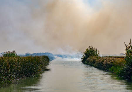 Burning of rice stubble burning straw in rice farmers in Albufera Valencia Spain, pollution environmental problem, dark sky cloudsの写真素材
