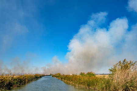 Burning of rice stubble burning straw in rice farmers in Albufera Valencia Spain, pollution environmental problem, dark sky cloudsの写真素材
