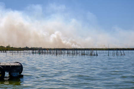 Burning of rice stubble burning straw in rice farmers in Albufera Valencia Spain, pollution environmental problem, dark sky cloudsの写真素材
