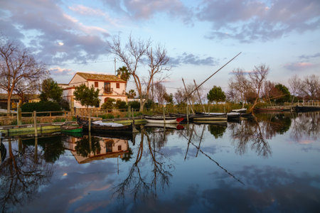 Albufera nature reserve in Catarroja Valencia spainの写真素材