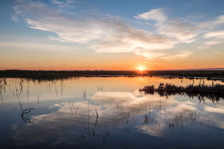 Albufera nature reserve Valencia Spainの写真素材