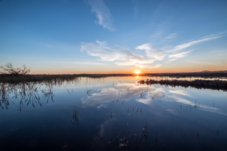 Albufera nature reserve Valencia Spainの写真素材