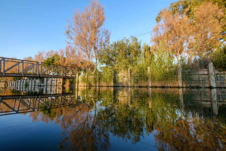 Albufera nature reserve Catarroja Valencia Spainの写真素材