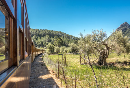 Historic train Tram between Soller and Palma with views over the Soller villageの写真素材