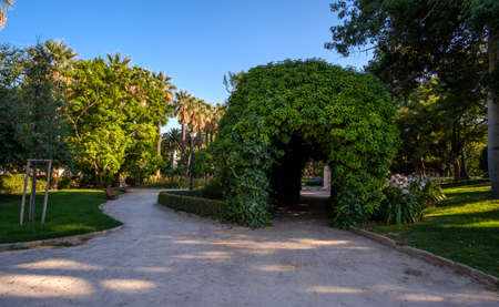 Jardines del Real, Viveros Valencia, near old dry riverbed of the River Turiaの写真素材