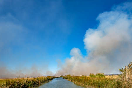 Burning of rice stubble burning straw in rice farmersの写真素材