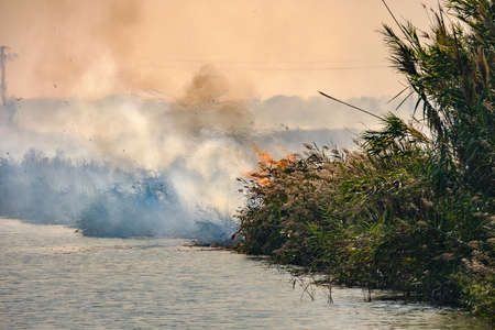 Burning of rice stubble burning straw in rice farmersの写真素材